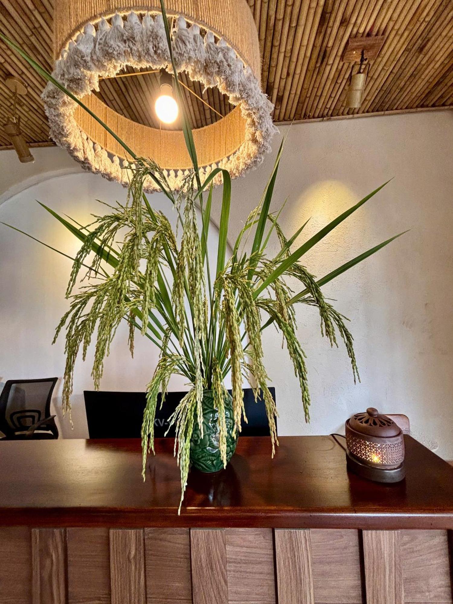Truong Giang Boutique Hotel Lang Mon Zewnętrze zdjęcie